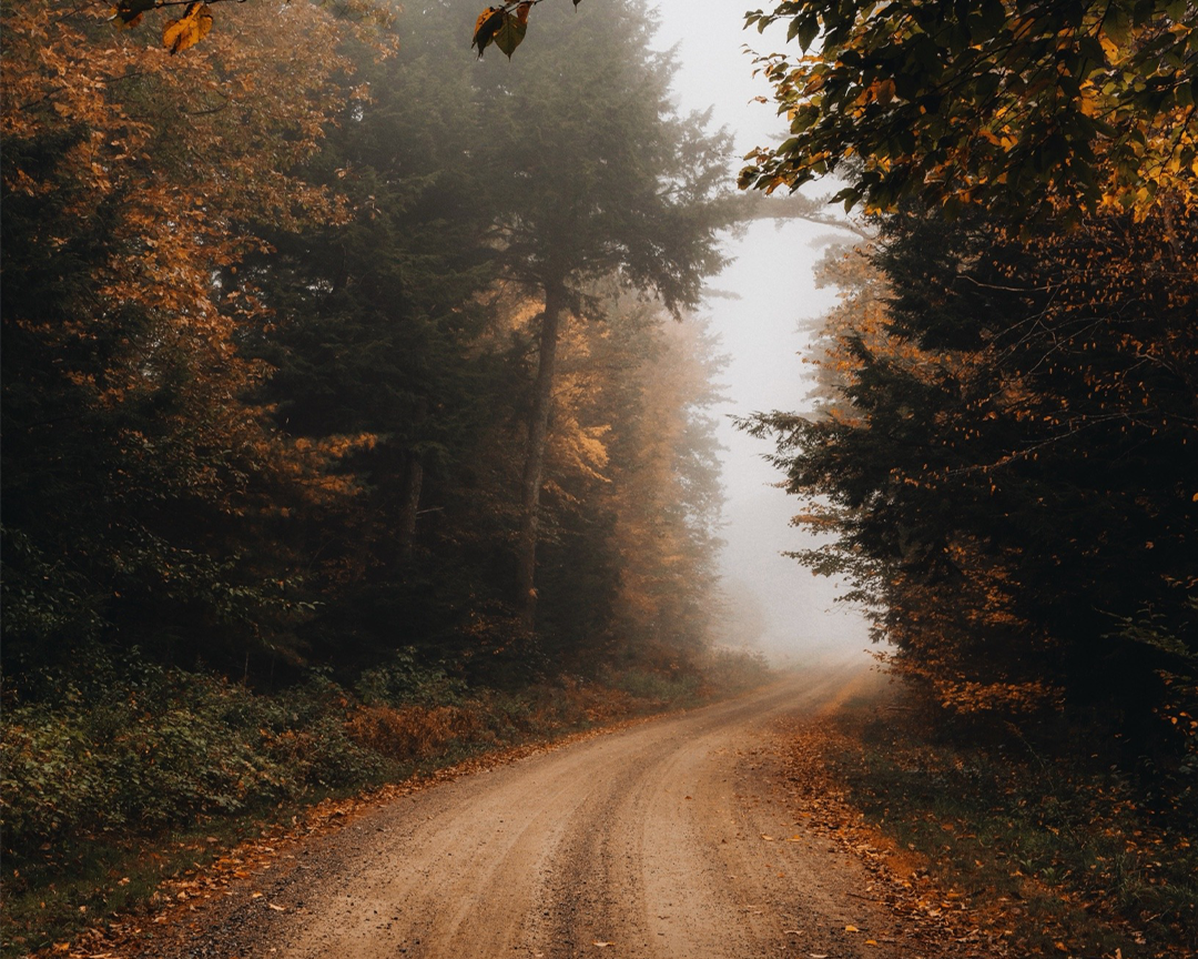 November