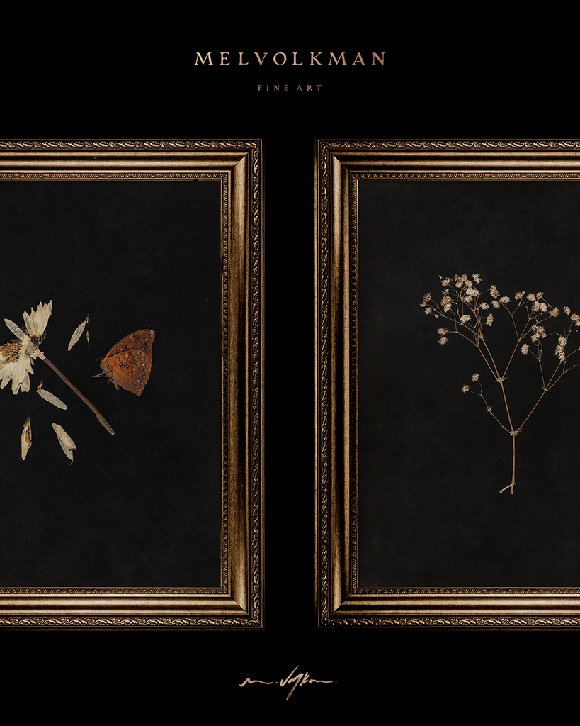 New Release: 4 Limited Edition Botanical Prints