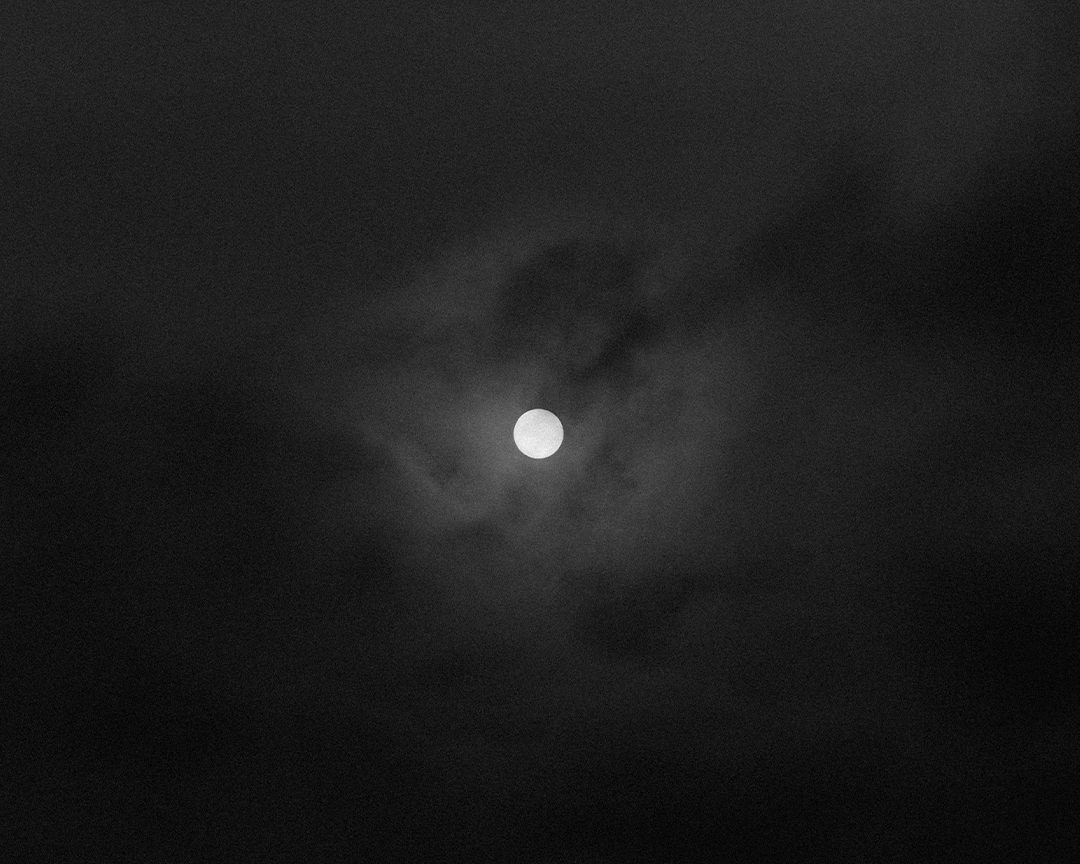 Light & Dark: Life Is Full Of Magic