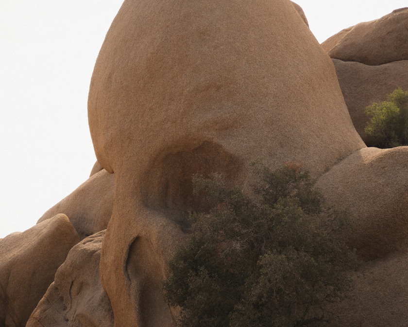 Joshua Tree / Skull Rock