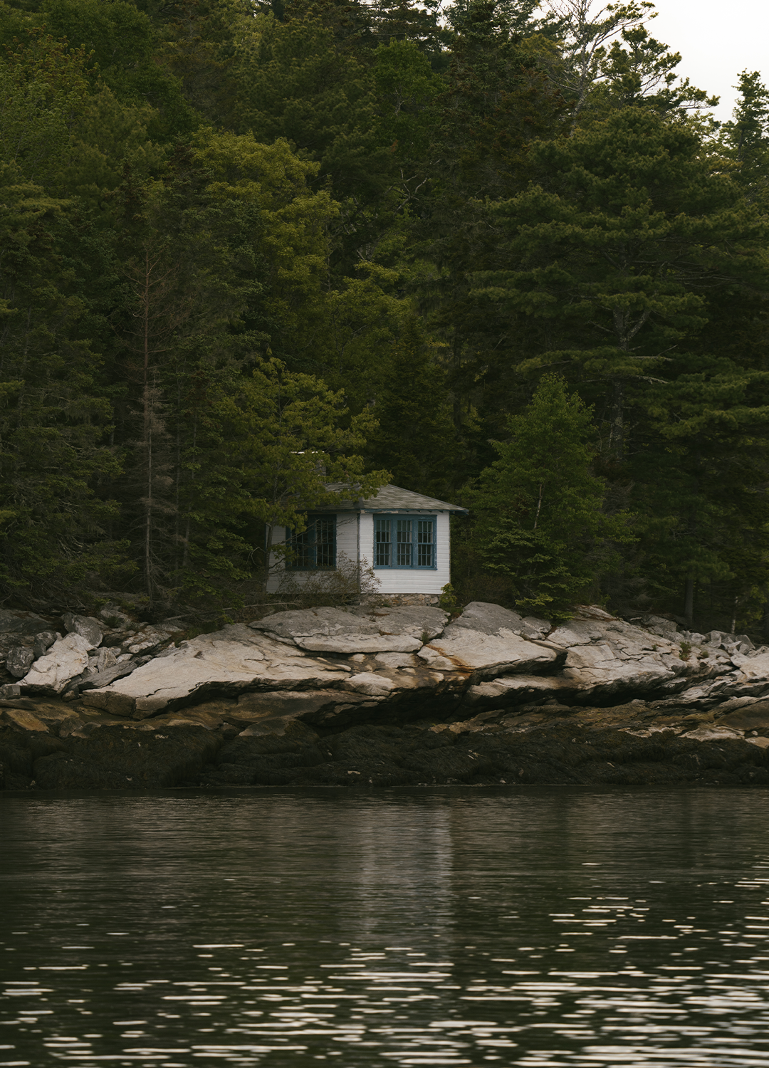 Green-Summer-in-Maine-Mel-Volkman-1.png