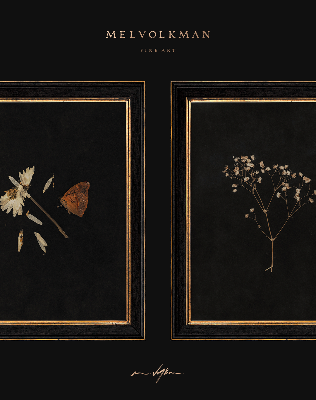Grace Limited Edition Print
