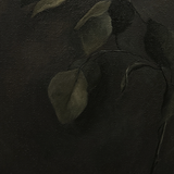 Eucalyptus Leaves Oil Painting