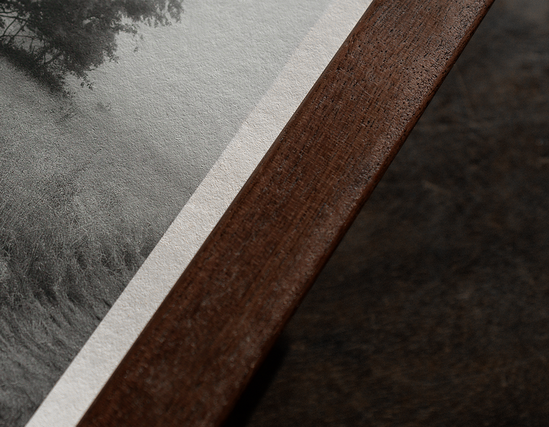 Into The Fog, no. 01