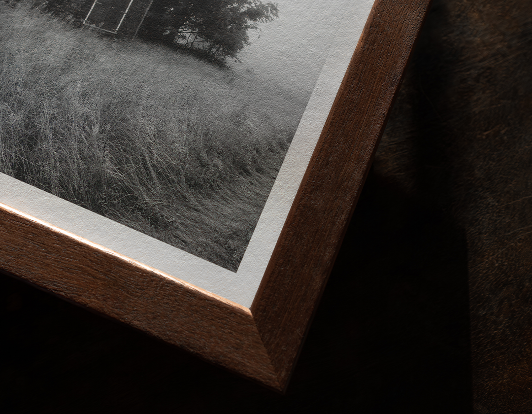 Into the Fog, no. 01