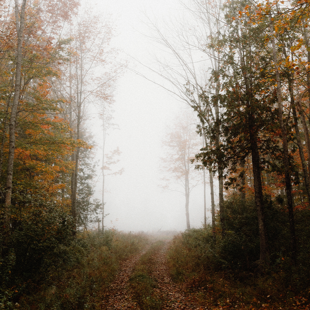 Mel-Volkman-Maine-Fine-Art-Photography-16.png