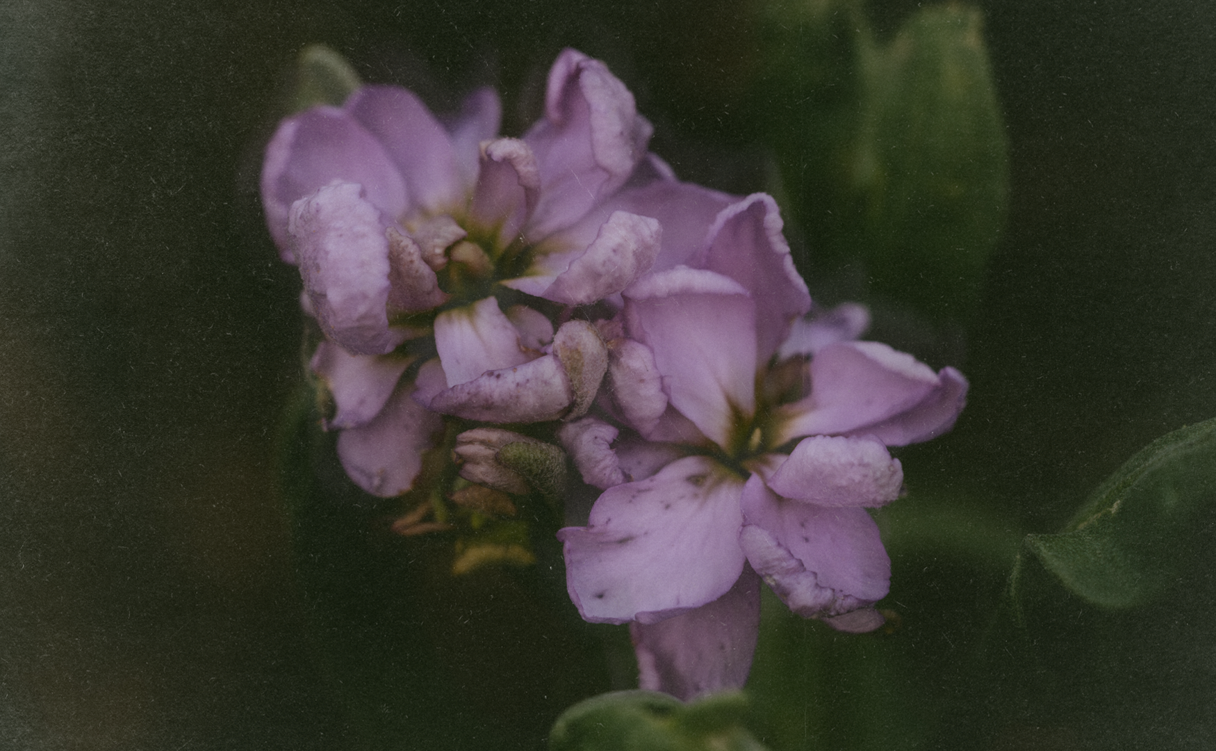 Photographer & Artist. <br>Based in Maine.